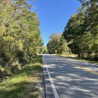 Lawrence Co. AL 18 Acres Bordering Bankhead National Forest images 2