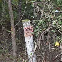 Dry Creek Camp images 2