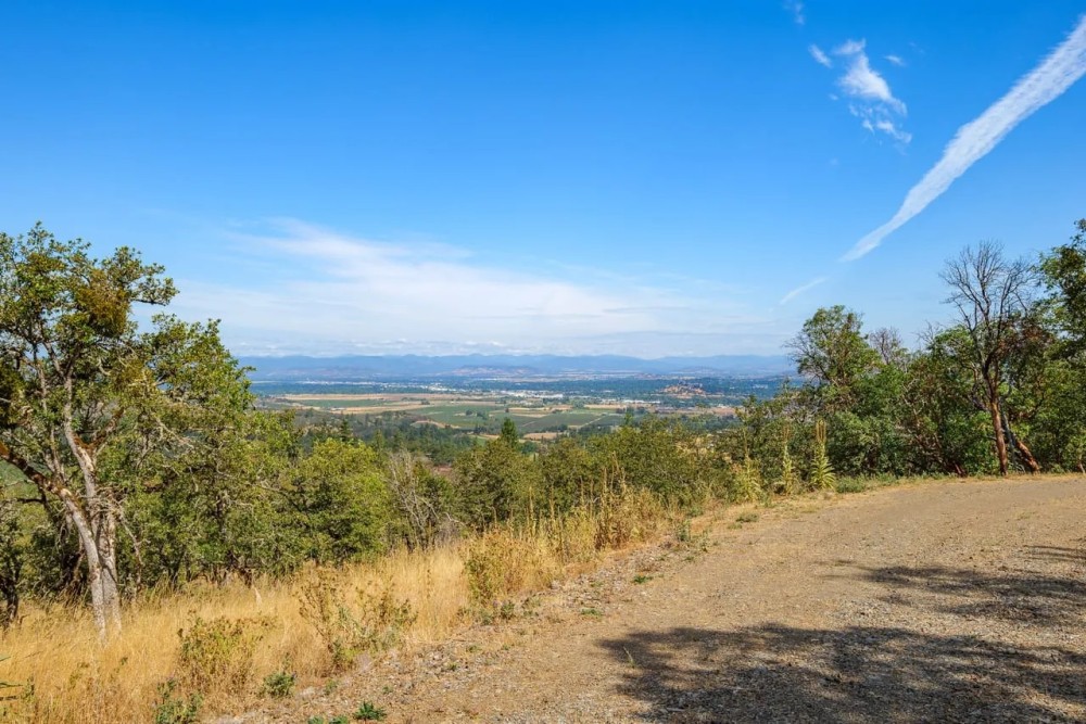 1048 Coleman Hills featured image