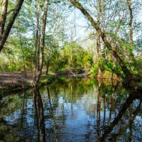 97 - Acres Year Round Creek Pasture Woods Electric Water Paved Road Frontage Evening Shade Arkansas images 3