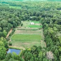 Lonely Live Oak - 1115 Acres Hunting Timberland SW MS