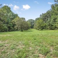 Lonely Live Oak - 1115 Acres Hunting Timberland SW MS images 3