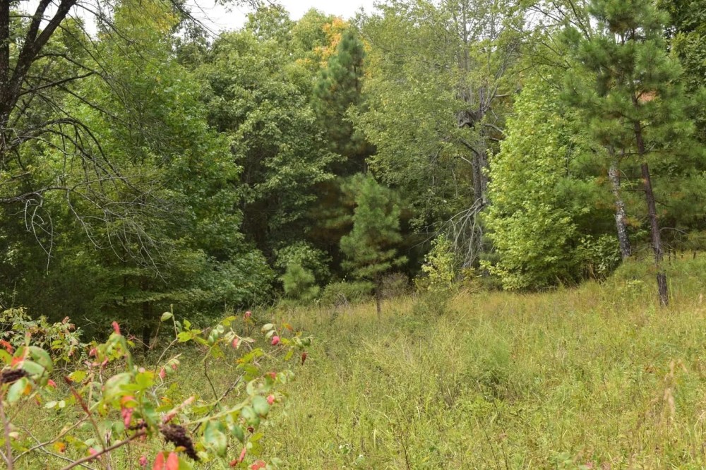 N Forty Drive featured image