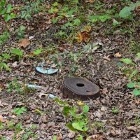 N Forty Drive images 2