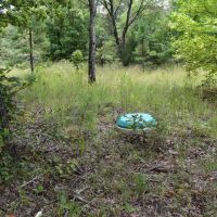 N Forty Drive images 3