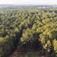 Hunting Land for Sale in Franklin Co MS