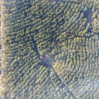 Hunting Land for Sale in Franklin Co MS images 2