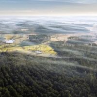 Hunting Land for Sale in Franklin Co MS images 3