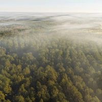 Hunting Land for Sale in Franklin Co MS images 5
