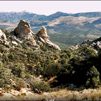 1,920 acres Blue Mass Scenic Area deer hunting land in White Pine, NV images 3
