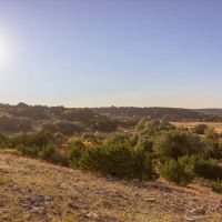 Norse Hill Ranch 137 - Acres images 5
