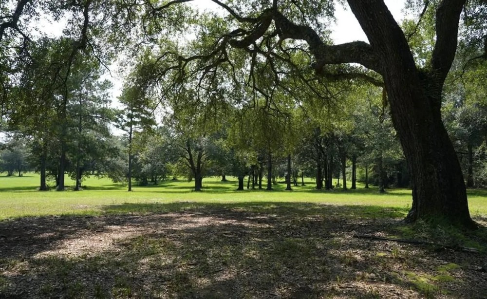 MS Pastureland 36 Acres Mature Timber with Barndominium featured image