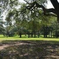 MS Pastureland 36 Acres Mature Timber with Barndominium