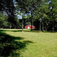 MS Pastureland 36 Acres Mature Timber with Barndominium images 2