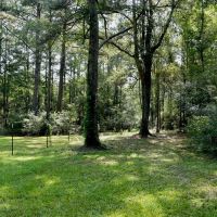 MS Pastureland 36 Acres Mature Timber with Barndominium images 4