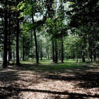 MS Pastureland 36 Acres Mature Timber with Barndominium images 5