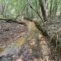 65.5 Acres in Kemper County MS images 2