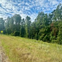 65.5 Acres in Kemper County MS images 5