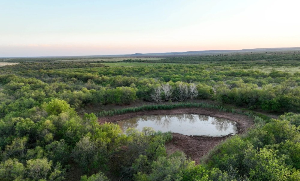 Wilson 4JL Ranch featured image