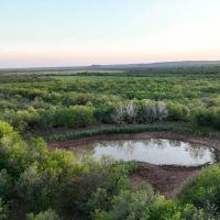 Wilson 4JL Ranch