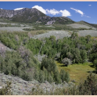 Pine Forest Recreation Area 23,260 acres deer hunting land in Winnemucca, NV