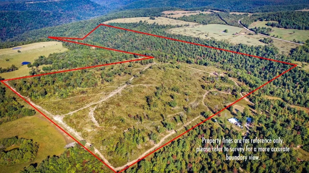 National Forest Boundaries Creek featured image