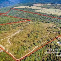 National Forest Boundaries Creek