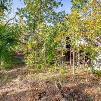 National Forest Boundaries Creek images 3