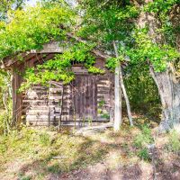 National Forest Boundaries Creek images 4