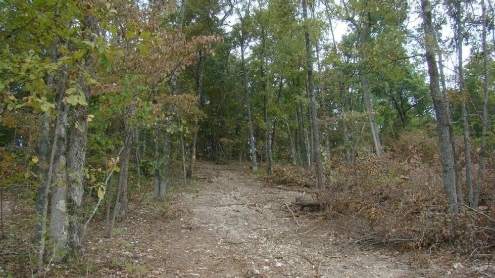 80 Acres Prime Hunting Small Cave Douglas County featured image