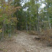 80 Acres Prime Hunting Small Cave Douglas County