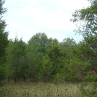 80 Acres Prime Hunting Small Cave Douglas County images 4