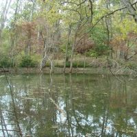 80 Acres Prime Hunting Small Cave Douglas County images 5