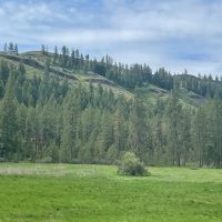 Welch Creek Road