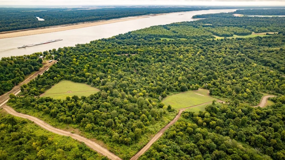 Premier Hunting Property for Sale on Mississippi River featured image