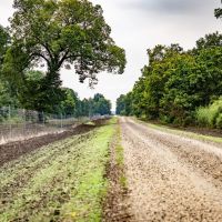 Premier Hunting Property for Sale on Mississippi River images 2