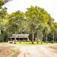 Premier Hunting Property for Sale on Mississippi River images 4