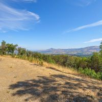 1028 Coleman Hills images 5