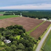 171.82 Acres of Multi-Use Farm Land For Sale in Lenoir County NC