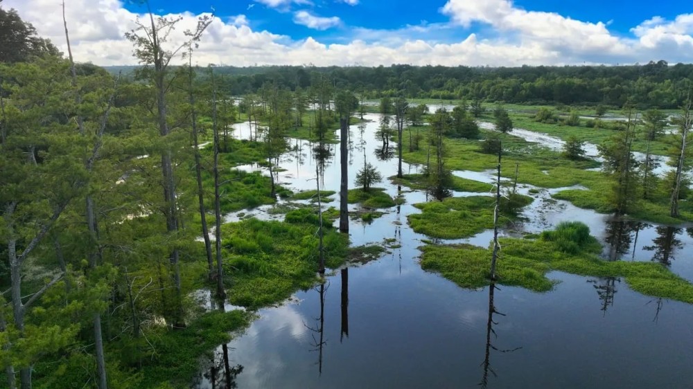 Tiger Back Lodge Little River County 670 Acres - featured image