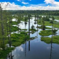 Tiger Back Lodge Little River County 670 Acres -