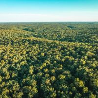 Serenity on the Upper Meramec 30 images 2