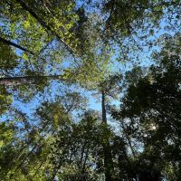 Watson Creek Farm images 2