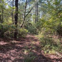 Watson Creek Farm images 3