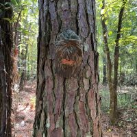 Watson Creek Farm images 4