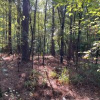Watson Creek Farm images 5