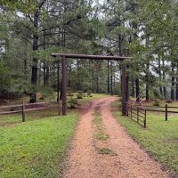 86.913 Acres Home Hunting Recreational Farmland in SW MS images 2
