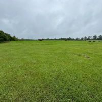 86.913 Acres Home Hunting Recreational Farmland in SW MS images 4