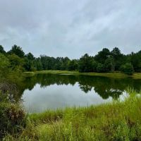 86.913 Acres Home Hunting Recreational Farmland in SW MS images 5