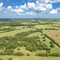 Cedar Hill Ranch images 2